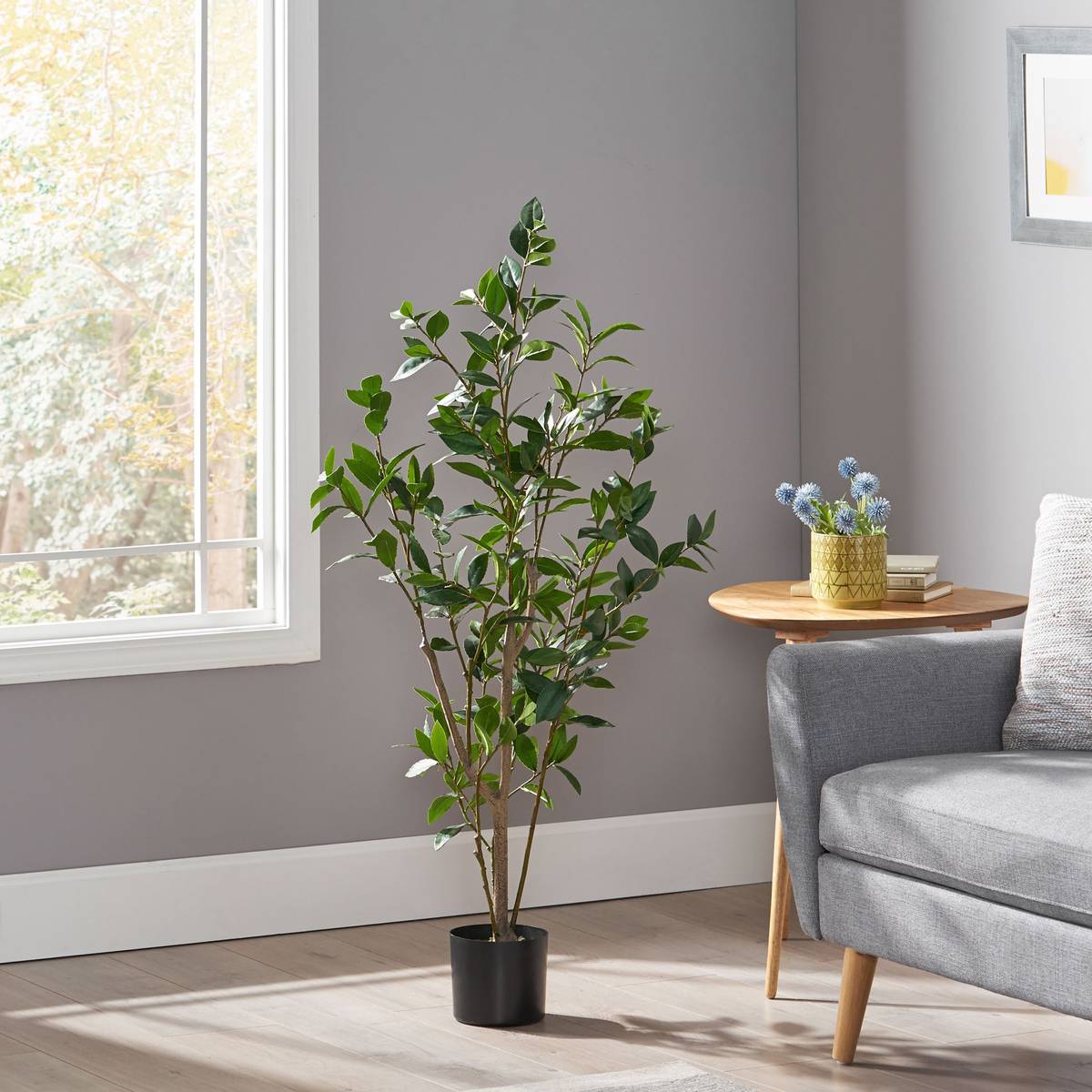 Product image unavailable