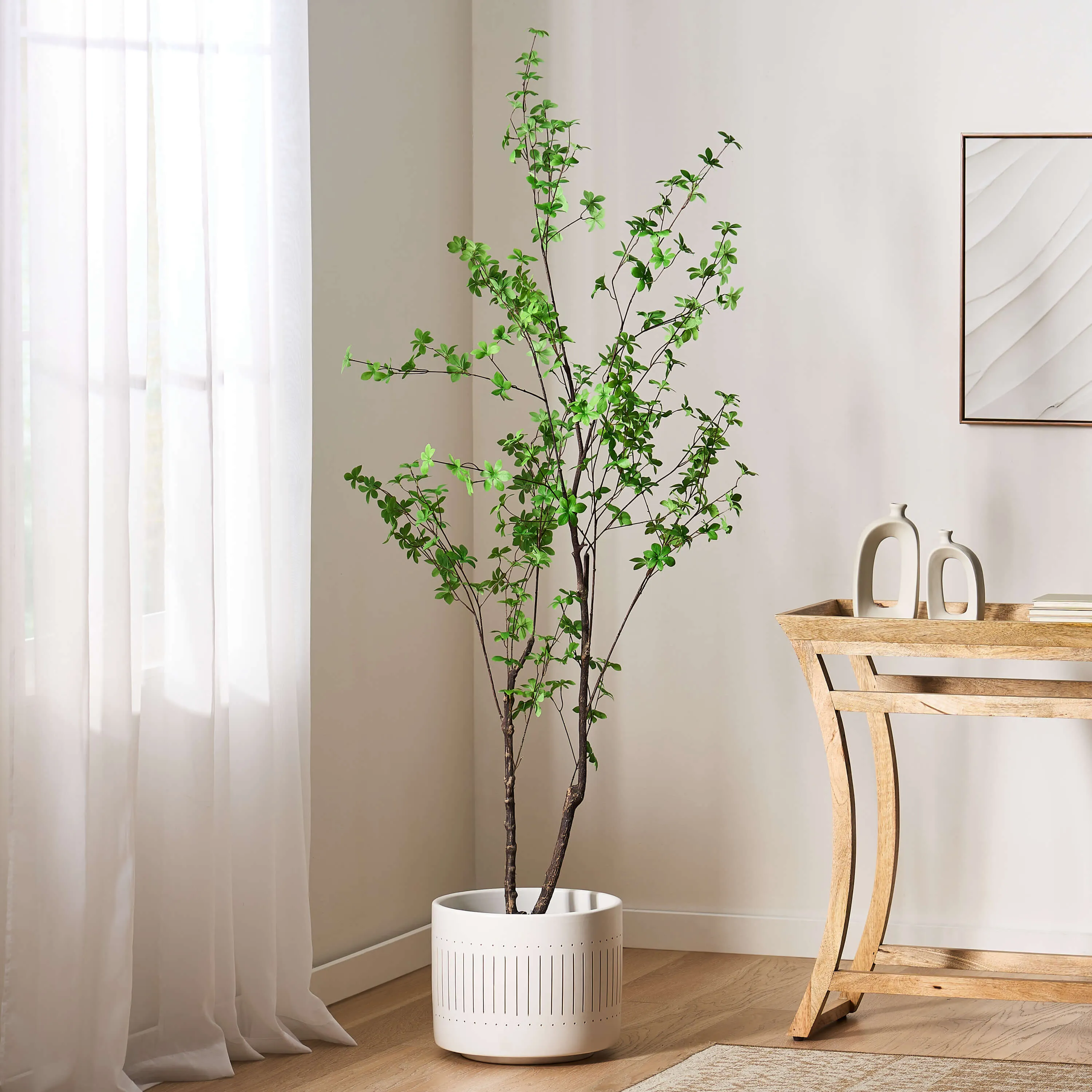 Decorar con las plantas y traer primavera a su hogar
